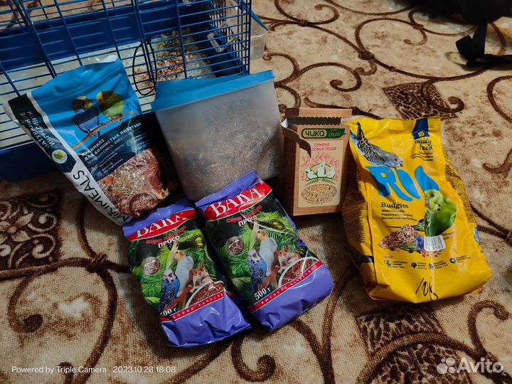 Птица волнистые попугай с клеткой