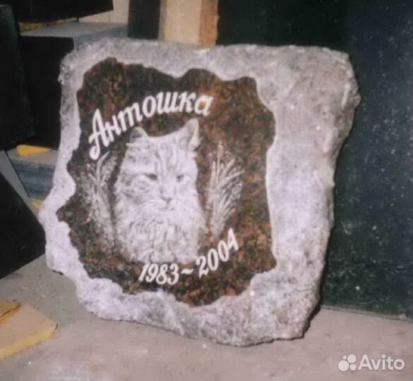 Памятник для животного