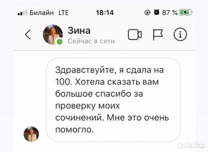 Репетитор егэ и огэ по литературе дистанционно