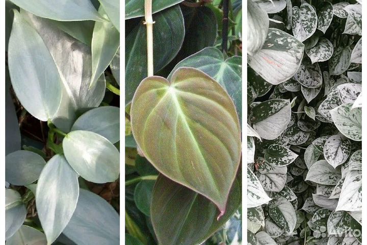 Разные малыши