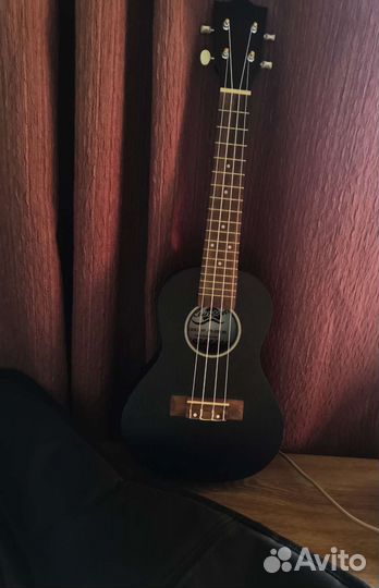 Укулеле концерт