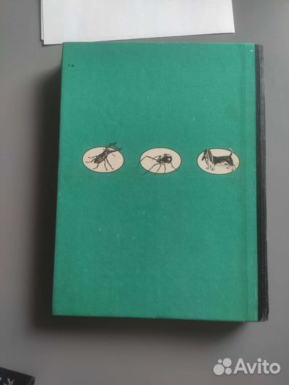 Мир животных Игорь Акимушкин