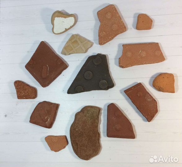 Дрифтвуд, коряги, камни, стекло, ракушки, плитка