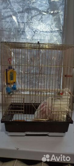 Клетка для попугая