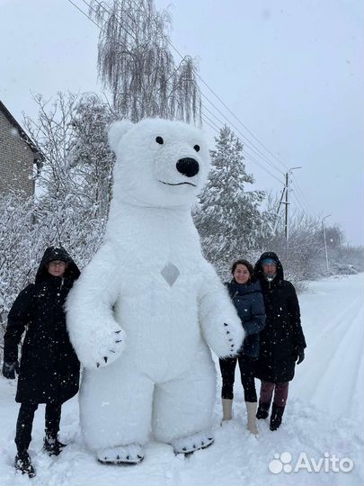 Большие мишки на праздник