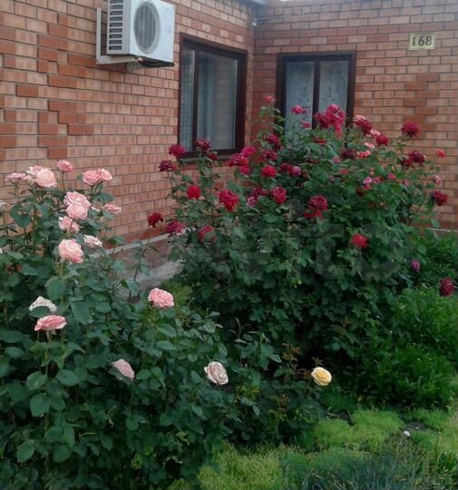 Дом 86,4 м² на участке 25 сот.