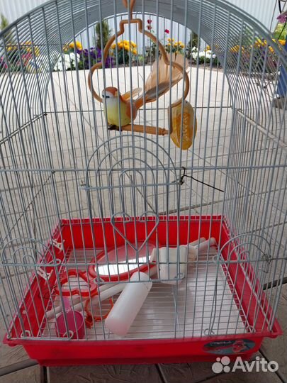 Клетка для попугая бу