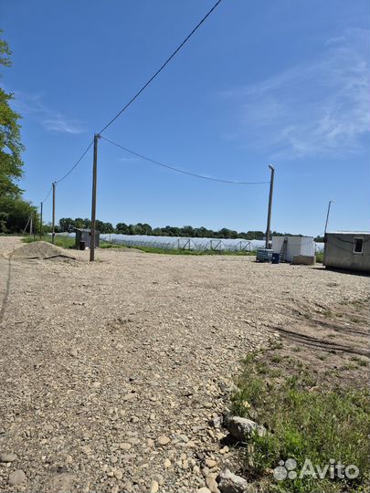 Продаю тепличный комплекс