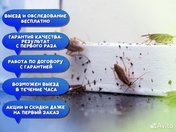 Дезинфекция Уничтожение Тараканов,клопов, клещей