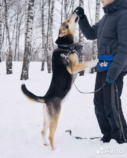 Патрик хочет домой