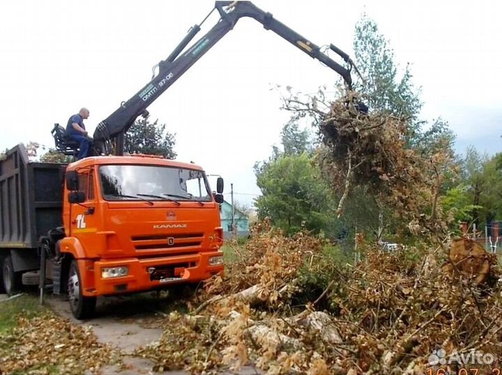 Вывоз мусора, спил деревьев