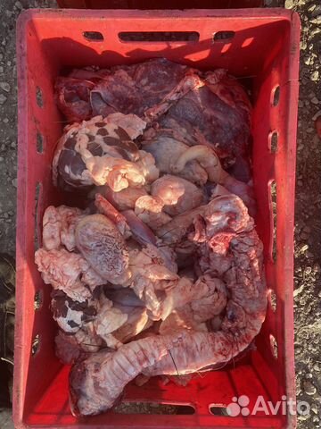 Лакомства для собак