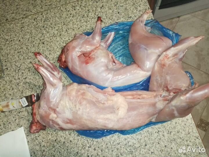 Мясо кролика