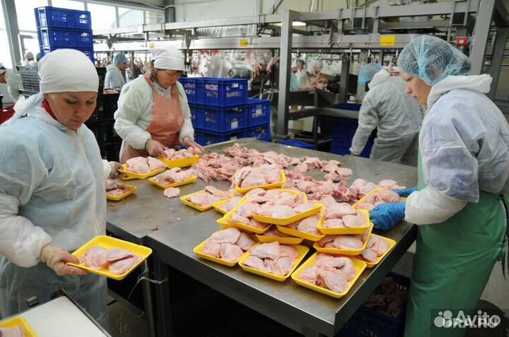 Разнорабочий оператор линии подработка