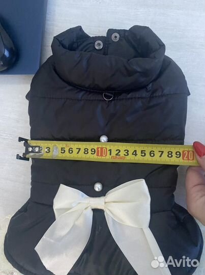 Одежла для собак