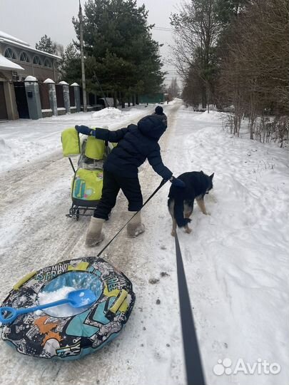 Сани коляска детские бу