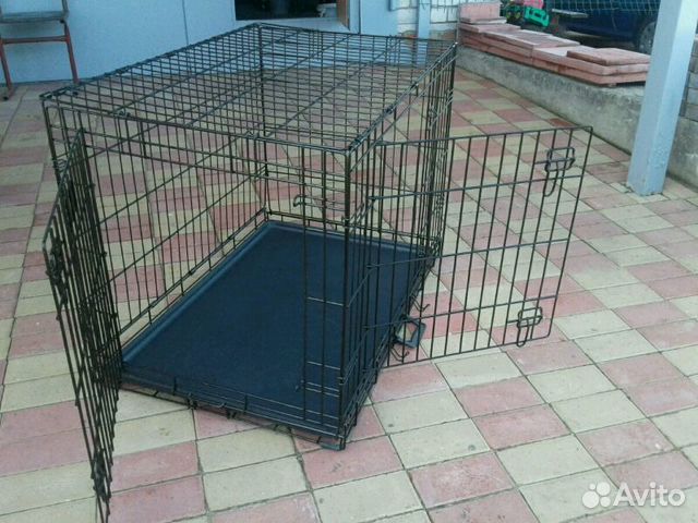 Уход за животными в Губкине: стрижка, выгул, передержка