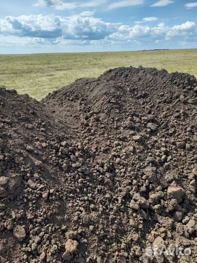 Чернозем Земля