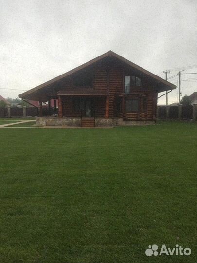 Продажа рулонного газона эконом