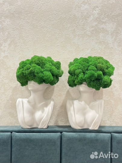 Декор для интерьера со стабилизированным мхом