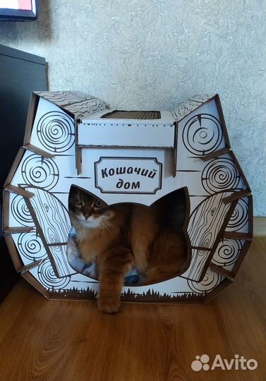 Домик для кошки
