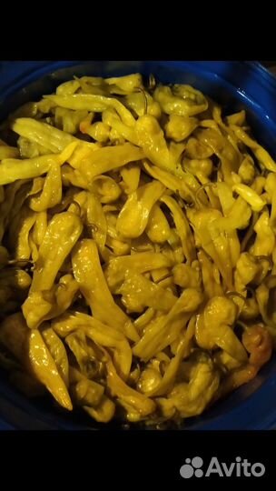 Перец острый соленый