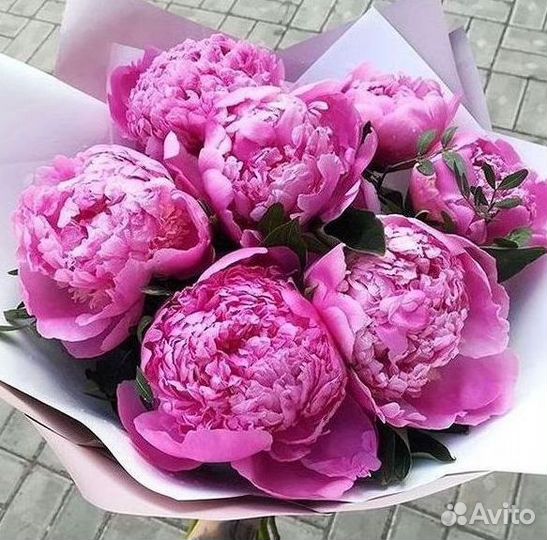 Пионы Цветы Доставка