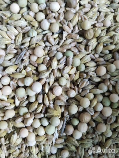 Зерносмесь дроблёная в ассорт, отруби