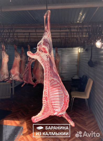 Молочные ягнята (Баранина)