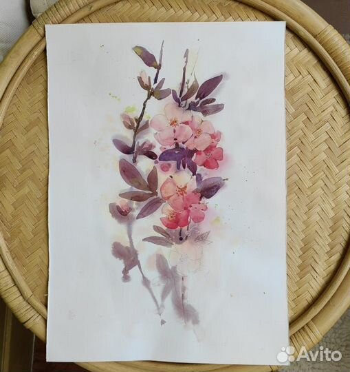 Акварели Цветы Море Парусник Акварель