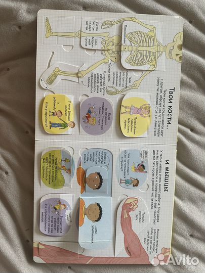 Энциклопедия для детей тело человека