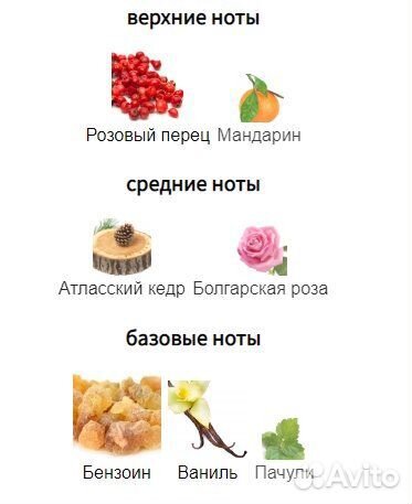 Мужской парфюм Rochas Moustache 75мл