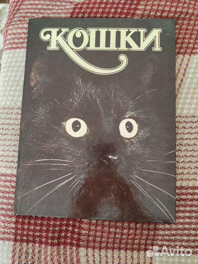 Книги о кошках