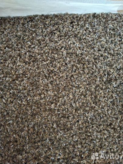 Пчелиный подмор 23 года