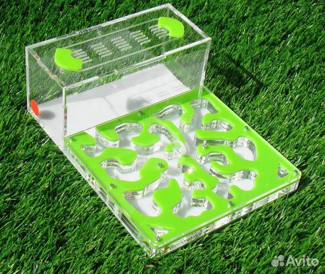 Муравьиная ферма с муравьями гипер Семья