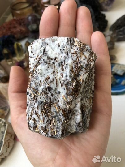 Астрофилит