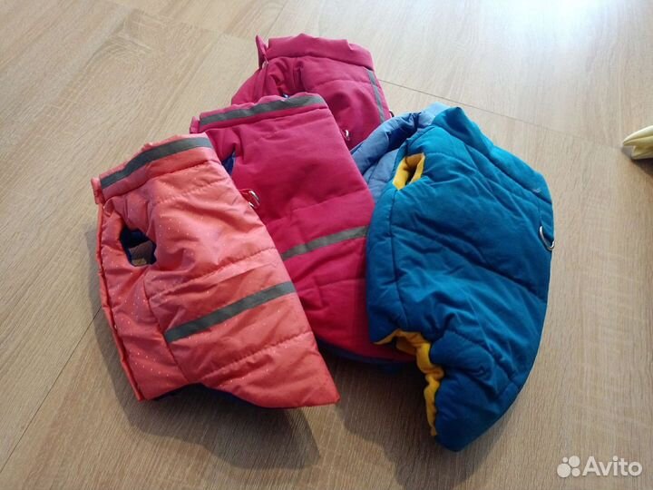 Одежда для маленьких собак