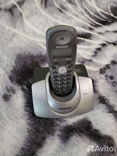 Panasonic