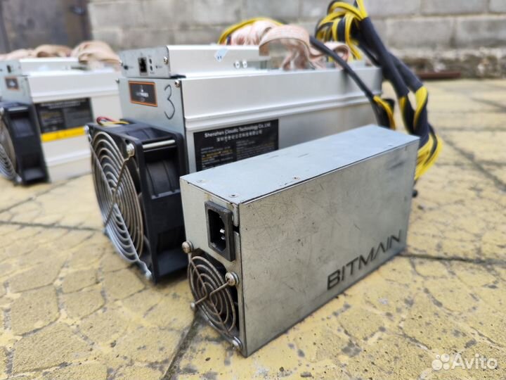 Antminer L3+ 504M innosilikon t2tz 30th