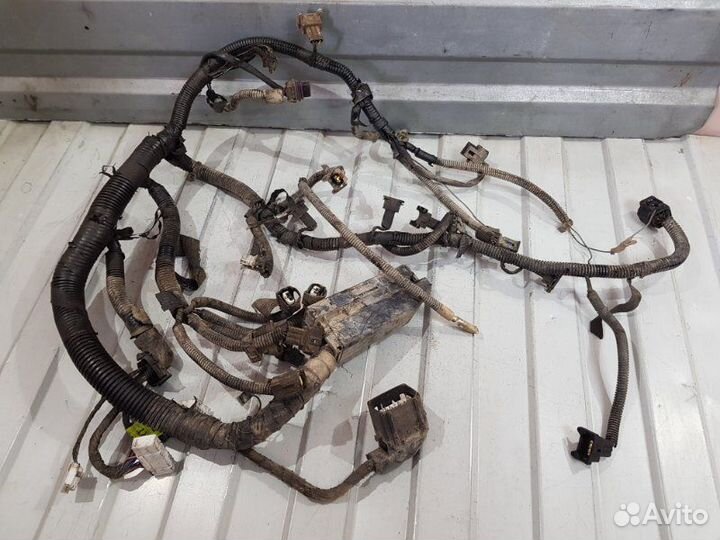 Проводка двс Chevrolet Lacetti J200 F14D3 2008