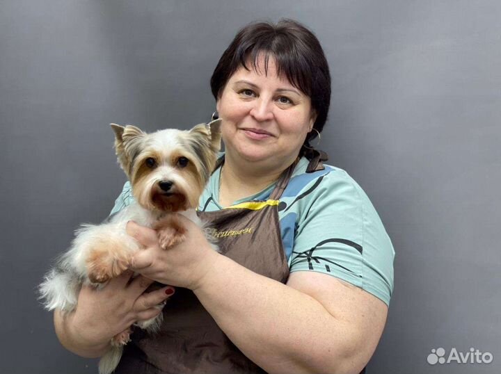 Стрижка собак и кошек