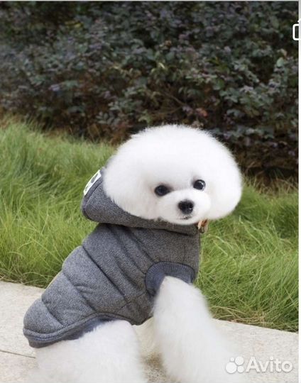 Куртка для собаки, S, 20см