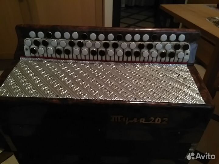 Баян Тула 202