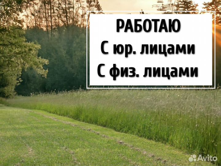 Покос травы и бурьяна