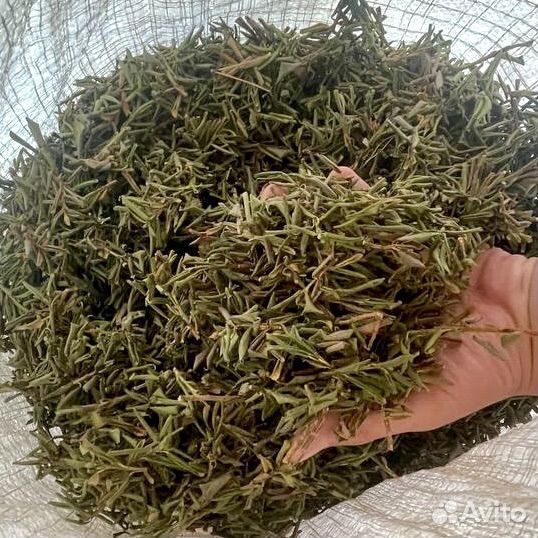 Саган дайля опт