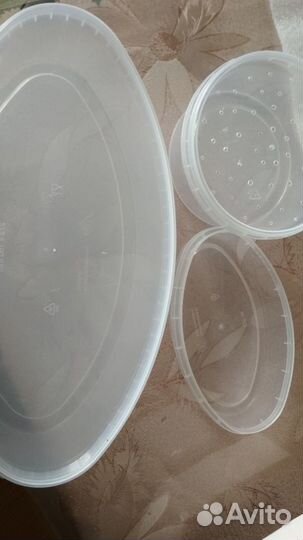 Насекомые кормовые всегда в наличии