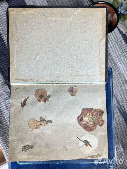 Щепкина-Куперник 