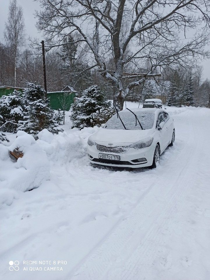 Kia Cerato: фото владельца