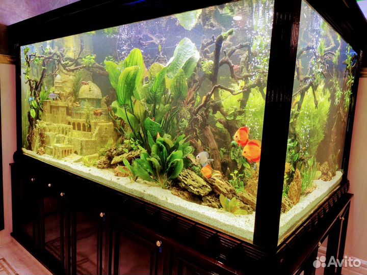 Обслуживание, чистка аквариума