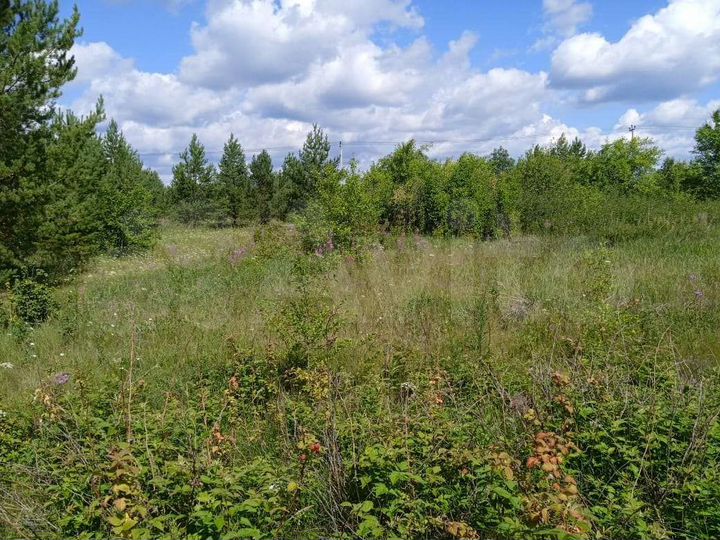 Участок 15 сот. (СНТ, ДНП)